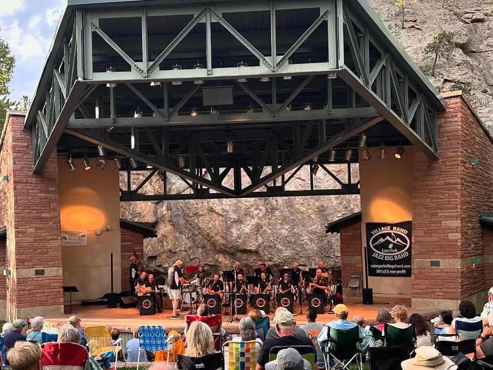 Metropolitan Jazz Orchestra live photo 7